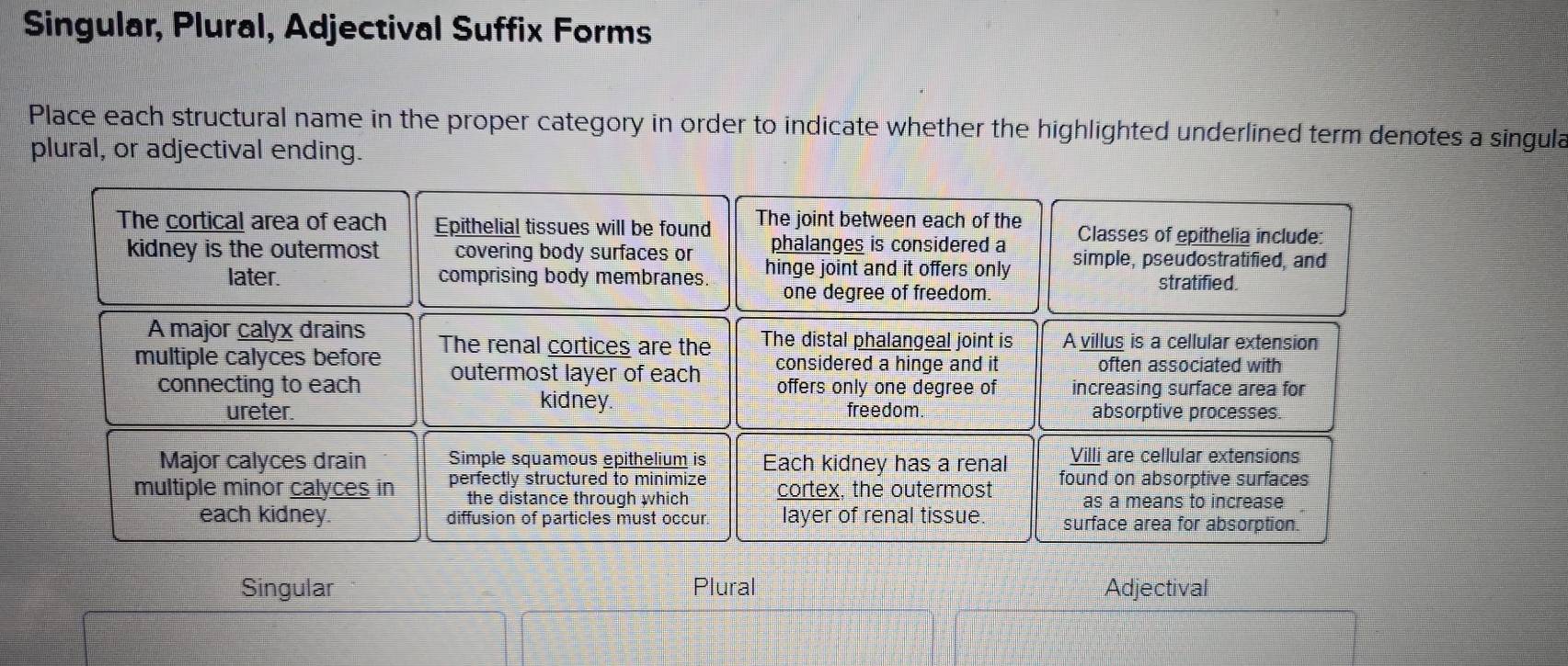 Singular, Plural, Adjectival Suffix Forms 
Place each structural name in the proper category in order to indicate whether the highlighted underlined term denotes a singula 
plural, or adjectival ending. 
Singular Plural Adjectival