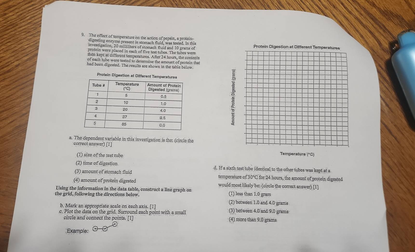 The effect of temperature on the action of pepsin, a protein-
digesting enzyme present in stomach fluid, was tested. In this 
investigation, 20 milliliters of stomach fluid and 10 grams of
protein were placed in each of five test tubes. The tubes were
then kept at different temperatures. After 24 hours, the contents
of each tube were tested to determine the amount of protein that
had been digested. The results are shown in the table below.
Protein Digestion at Different Tem
;
a. The dependent variable in this investigation is the; (circle the
correct answer) [1]
(1) size of the test tube
Temperature (°C)
(2) time of digestion d. If a sixth test tube identical to the other tubes was kept at a
(3) amount of stomach fluid temperature of 30°C for 24 hours, the amount of protein digested
(4) amount of protein digested would most likely be: (circle the correct answer) [1]
Using the information in the data table, construct a line graph on
the grid, following the directions below. (1) less than 1.0 gram
(2) between 1.0 and 4.0 grams
b. Mark an appropriate scale on each axis. [1] (3) between 4.0 and 9.0 grams
c. Plot the data on the grid. Surround each point with a small
circle and connect the points. [1] (4) more than 9.0 grams
Example: