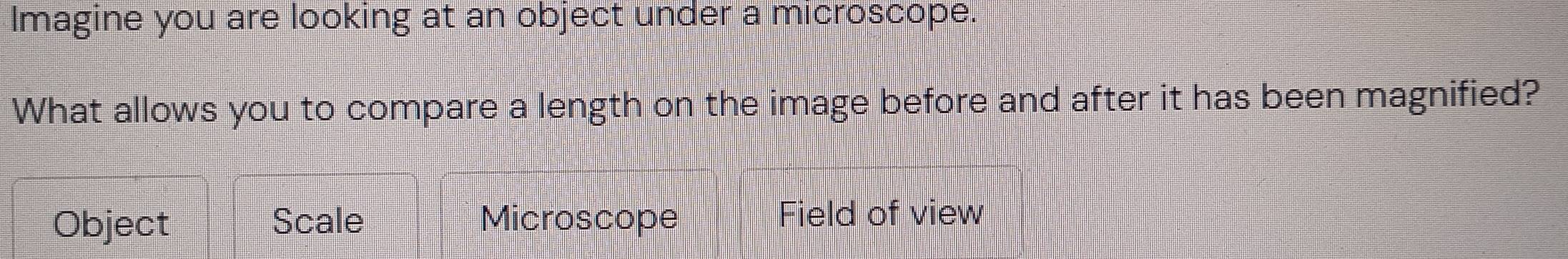 Imagine you are looking at an object under a microscope.
What allows you to compare a length on the image before and after it has been magnified?
Object Scale Microscope Field of view