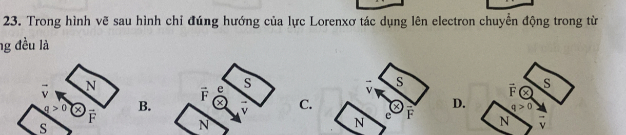 Trong hình vẽ sau hình chỉ đúng hướng của lực Lorenxơ tác dụng lên electron chuyển động trong từ
ng đều là
vector v N
vector F e s
s
s
q>0 é
B.
v C. D. q>0
s
N
N e F vector Fodot
N