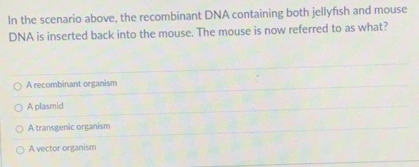 In the scenario above, the recombinant DNA containing both jellyfish and mouse
DNA is inserted back into the mouse. The mouse is now referred to as what?
A recombinant organism
A plasmid
A transgenic organism
A vector organism