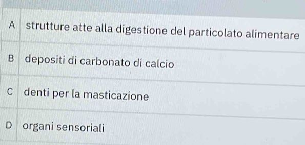 A strutture atte alla digestione del particolato alimentare
B depositi di carbonato di calcio
C denti per la masticazione
D organi sensoriali