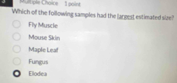 Which of the following samples had the largest estimated size?
Fly Muscle
Mouse Skin
Maple Leaf
Fungus
Elodea