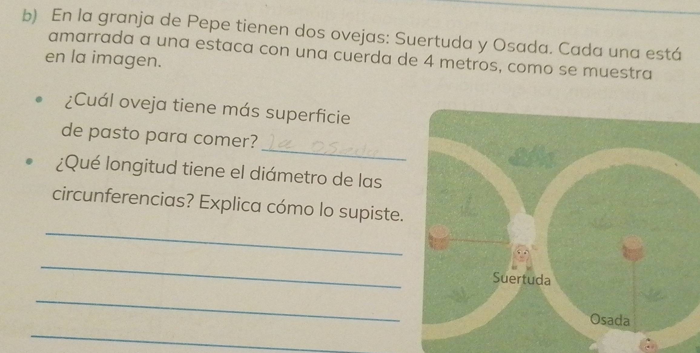 En la granja de Pepe tienen dos ovejas: Suertuda y Osada. Cada una está 
amarrada a una estaca con una cuerda de 4 metros, como se muestra 
en la imagen. 
¿Cuál oveja tiene más superficie 
_ 
de pasto para comer? 
¿Qué longitud tiene el diámetro de las 
circunferencias? Explica cómo lo supiste. 
_ 
_ 
_ 
_