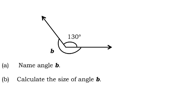 Name angle b.
(b) Calculate the size of angle b.