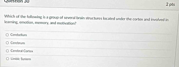 Which of the following is a group of several brain structures located under the cortex and involved in
learning, emotion, memory, and motivation?
Cerebellum
Cerebrum
Cerebral Cortex
Limbic System