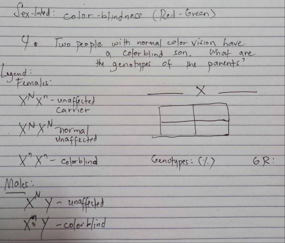 Sex-lnted: color-blindnece (Red-Green) 
9 Two people with normal color vision have 
a colorblind son. What are 
lyand: 
the genotypes of the parents? 
Femakes 
_X_
x^Nx^n unaffected 
carvier
X^NX^N hormal 
unaffected
x^nx^n- colorblind Genotypes:(1. ) 6R: 
Makes:
X^Ny- unaffected
x^ny - colorblind