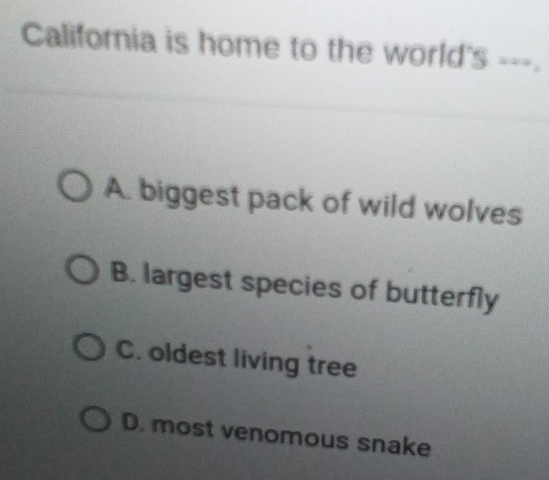 California is home to the world's ---.
A. biggest pack of wild wolves
B. largest species of butterfly
C. oldest living tree
D. most venomous snake