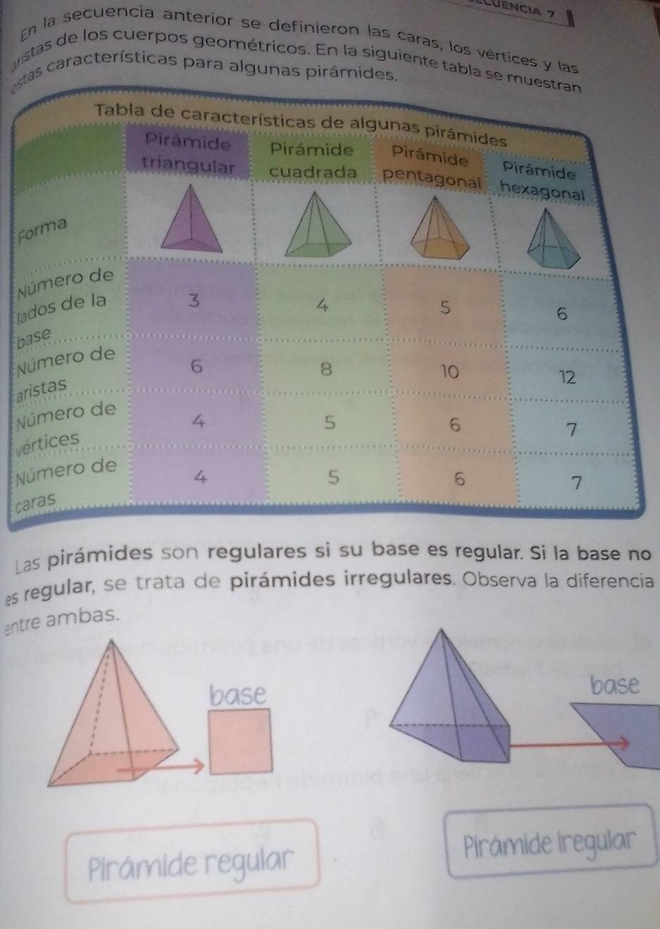 CuEncia 7
En la secuencia anterior se definieron las caras, los vértices y las
aristas de los cuerpos geométricos. En la siguiente tabla se m
estas características para algunas pirámides.
F
N
l
b
N
ar
N
v
N
ca
Las pirámides son regulares si su base es regular. Si la base no
es regular, se trata de pirámides irregulares. Observa la diferencia
entre ambas.
base
Pirámide regular
Pirámide iregular