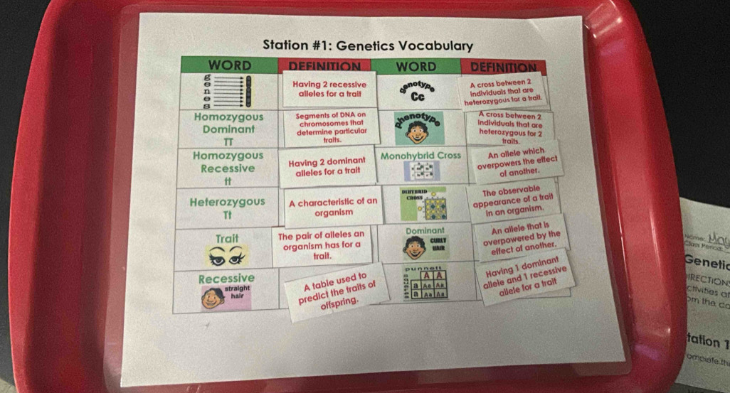 Station #1: Genetics Vocabulary 
May 
Clops Penca 
Genetic 
RECTION 
ctivities a 
m the cơ 
tation 1 
ompiate th