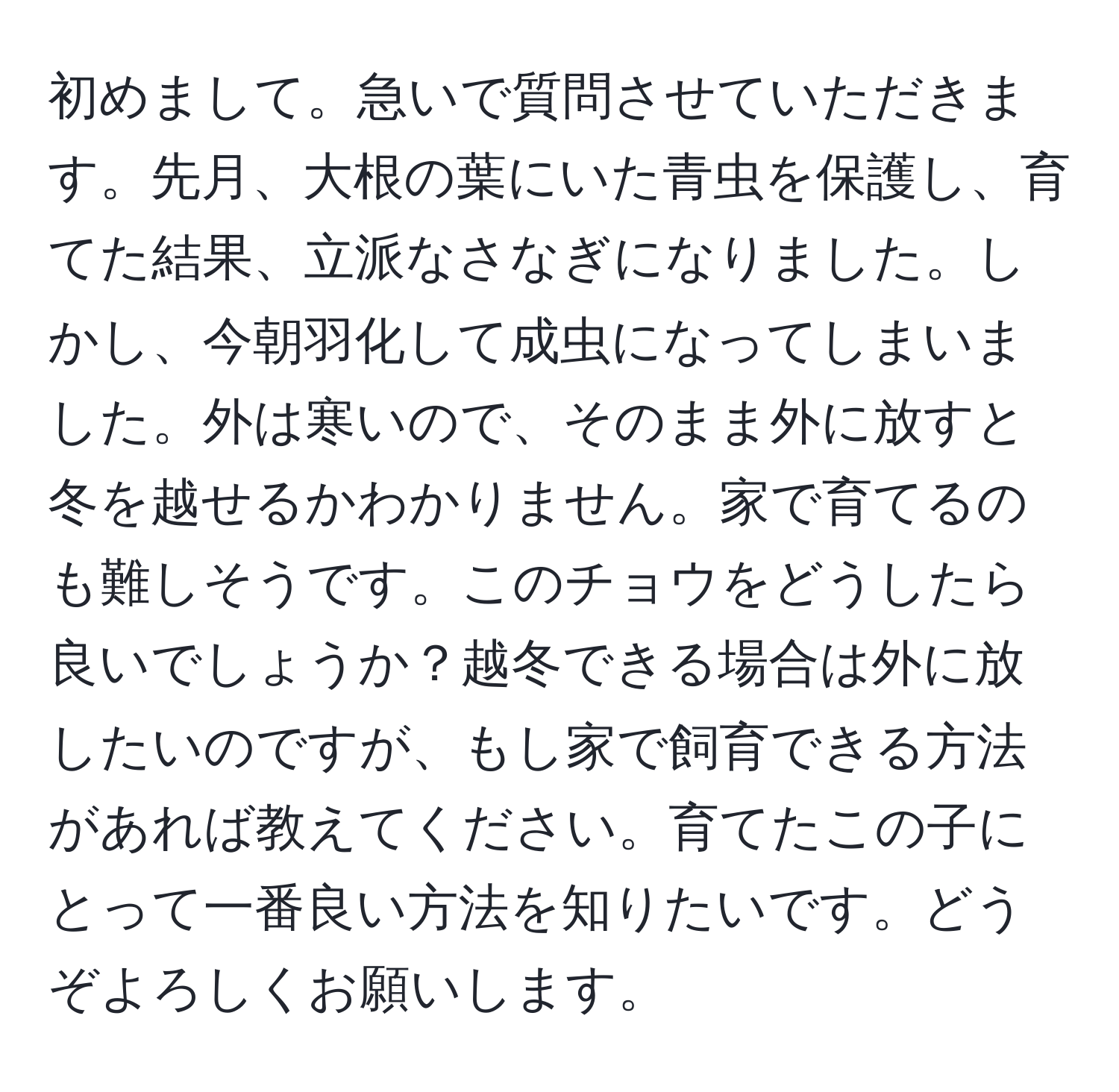 初めまして。急いで質問させていただきます。先月、大根の葉にいた青虫を保護し、育てた結果、立派なさなぎになりました。しかし、今朝羽化して成虫になってしまいました。外は寒いので、そのまま外に放すと冬を越せるかわかりません。家で育てるのも難しそうです。このチョウをどうしたら良いでしょうか？越冬できる場合は外に放したいのですが、もし家で飼育できる方法があれば教えてください。育てたこの子にとって一番良い方法を知りたいです。どうぞよろしくお願いします。