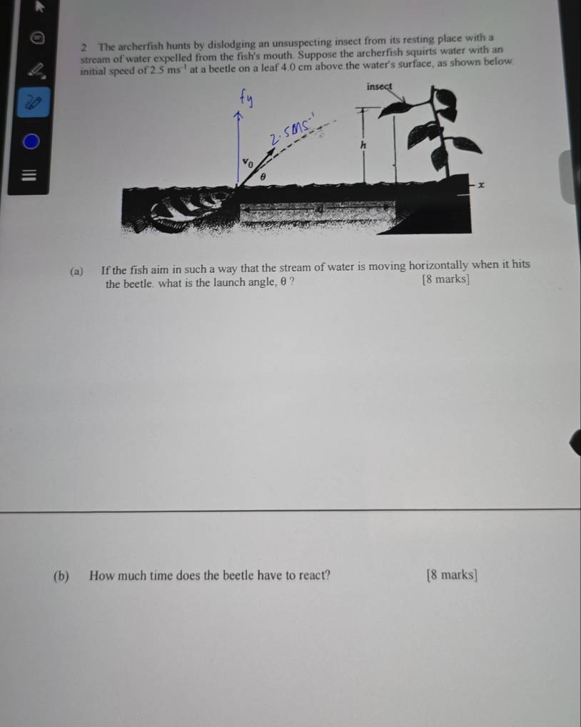 The archerfish hunts by dislodging an unsuspecting insect from its resting place with a 
stream of water expelled from the fish's mouth. Suppose the archerfish squirts water with an 
initial speed of 2.5ms^(-1) at a beetle on a leaf 4.0 cm above the water's surface, as shown below 
≡ 
(a) If the fish aim in such a way that the stream of water is moving horizontally when it hits 
the beetle. what is the launch angle, θ ? [8 marks] 
(b) How much time does the beetle have to react? [8 marks]
