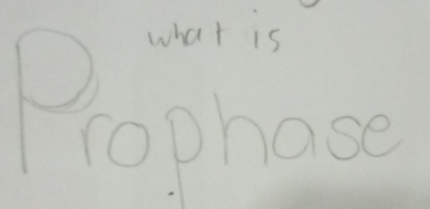 what is 
rophase