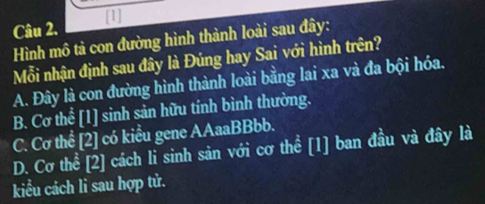 Câu 2,
Hình mô tả con đường hình thành loài sau đây:
Mỗi nhận định sau đây là Đúng hay Sai với hình trên?
A. Đây là con đường hình thành loài bằng lai xa và đa bội hóa.
B. Cơ thể [1] sinh sản hữu tính bình thường.
C. Cơ thể [2] có kiểu gene AAaaBBbb.
D. Cơ thể [2] cách li sinh sản với cơ thể [1] ban đầu và đây là
kiểu cách li sau hợp tử.