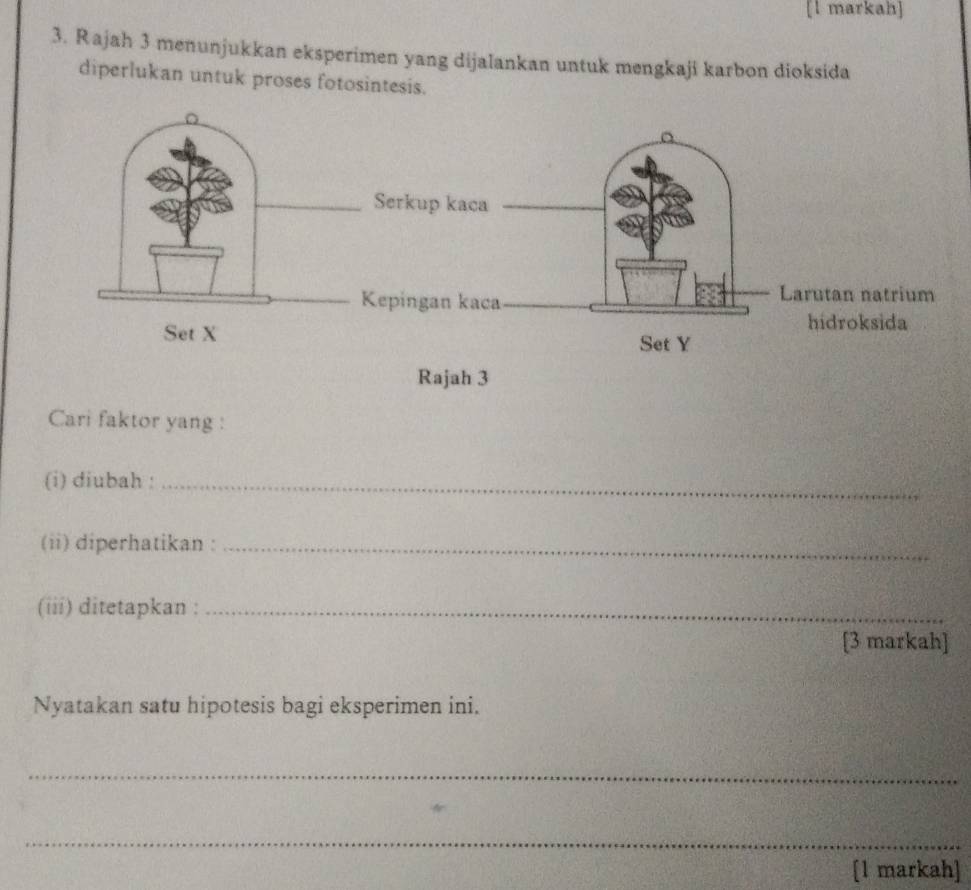 [l markah] 
3. Rajah 3 menunjukkan eksperimen yang dijalankan untuk mengkaji karbon dioksida 
diperlukan untuk proses fotosintesis. 
Rajah 3 
Cari faktor yang : 
(i) diubah :_ 
(ii) diperhatikan :_ 
(iii) ditetapkan :_ 
[3 markah] 
Nyatakan satu hipotesis bagi eksperimen ini. 
_ 
_ 
[l markah]