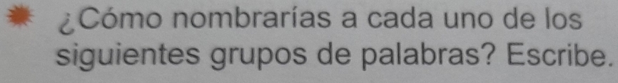 ¿Cómo nombrarías a cada uno de los 
siguientes grupos de palabras? Escribe.