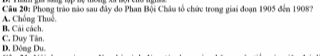 Phong trào não sau đây do Phan Bội Châu tổ chức trong giai đoạn 1905 đến 1908? A. Chống Thuô.
B. Cải cách
C. Duy Tân. D. Dông Du.