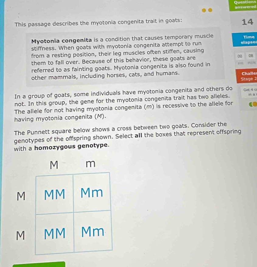 Questions 
answered 
This passage describes the myotonia congenita trait in goats: 
14 
Myotonia congenita is a condition that causes temporary muscle Time 
stiffness. When goats with myotonia congenita attempt to run elapse 
from a resting position, their leg muscles often stiffen, causing 
them to fall over. Because of this behavior, these goats are 
00 08 
referred to as fainting goats. Myotonia congenita is also found in H 
other mammals, including horses, cats, and humans. Challer 
Stage 2
In a group of goats, some individuals have myotonia congenita and others do Get 4 c 
not. In this group, the gene for the myotonia congenita trait has two alleles. in a 
The allele for not having myotonia congenita (m) is recessive to the allele for 
having myotonia congenita (M). 
The Punnett square below shows a cross between two goats. Consider the 
genotypes of the offspring shown. Select all the boxes that represent offspring 
with a homozygous genotype.