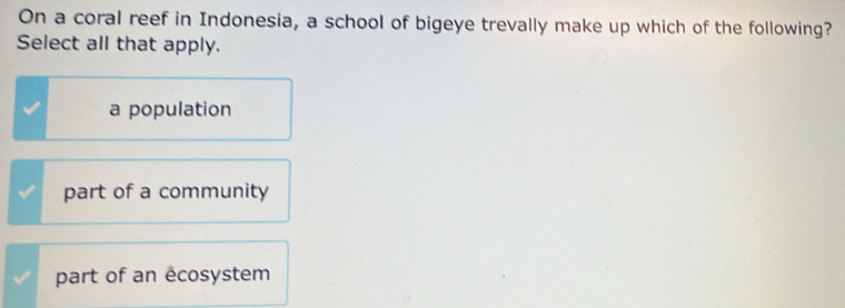 On a coral reef in Indonesia, a school of bigeye trevally make up which of the following?
Select all that apply.
a population
part of a community
part of an écosystem