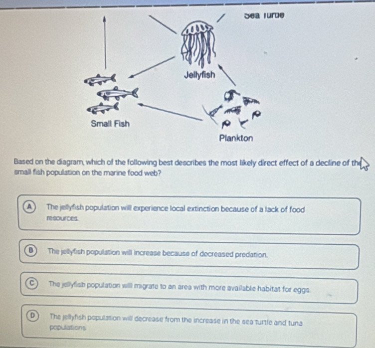 Based on the diagram, which of the following best describes the most likely direct effect of a decline of the
small fish population on the marine food web?
a The jellyfish population will experience local extinction because of a lack of food
resources
D The jellyfish population will increase because of decreased predation.
c) The jellyfish population will migrate to an area with more available habitat for eggs
D The jellyfish population will decrease from the increase in the sea turtle and tuna
poplaations