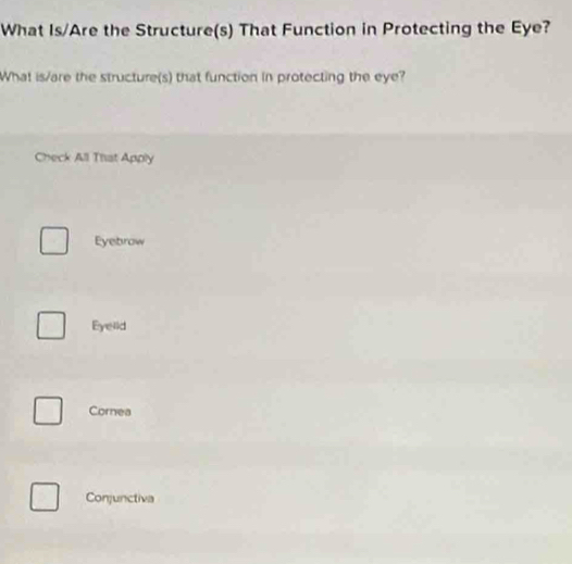 What Is/Are the Structure(s) That Function in Protecting the Eye?
What is/are the structure(s) that function in protecting the eye?
Check All That Apply
Eyebrow
Eyelld
Cornea
Conjunctiva