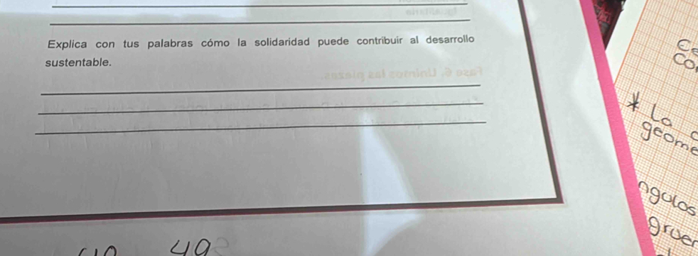 Explica con tus palabras cómo la solidaridad puede contribuir al desarrollo 
sustentable. 
a 
_ 
_ 
_ 
los 
grue