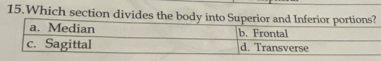 Which section divides the body in