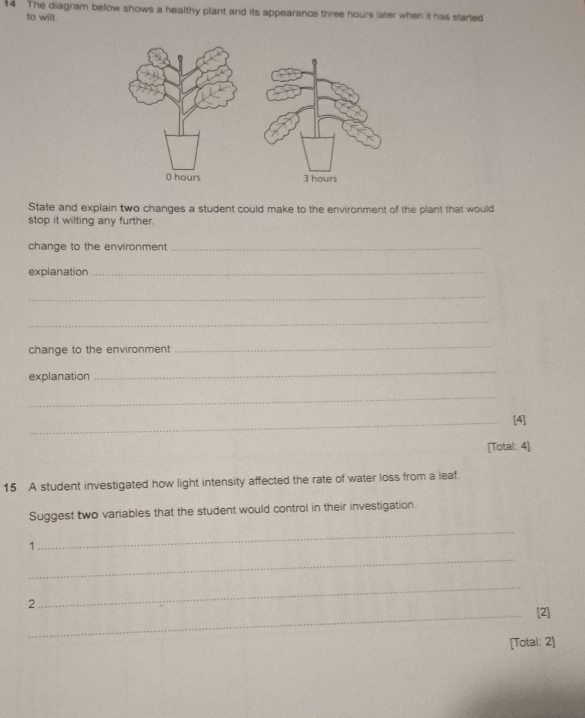 The diagram below shows a healthy plant and its appearance three hours later when it has started 
to wilt 
State and explain two changes a student could make to the environment of the plant that would 
stop it wilting any further. 
change to the environment_ 
explanation_ 
_ 
_ 
change to the environment 
_ 
explanation 
_ 
_ 
_[4] 
[Total: 4] 
15 A student investigated how light intensity affected the rate of water loss from a leaf. 
Suggest two variables that the student would control in their investigation. 
1 
_ 
_ 
2 
_ 
_[2] 
[Total: 2]