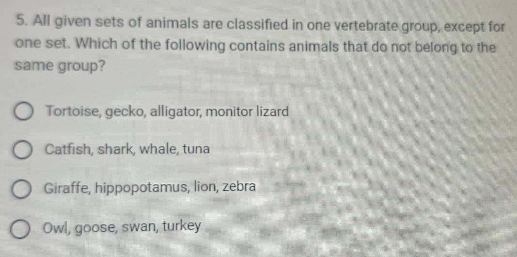 All given sets of animals are classified in one vertebrate group, except for
one set. Which of the following contains animals that do not belong to the
same group?
Tortoise, gecko, alligator, monitor lizard
Catfish, shark, whale, tuna
Giraffe, hippopotamus, lion, zebra
Owl, goose, swan, turkey