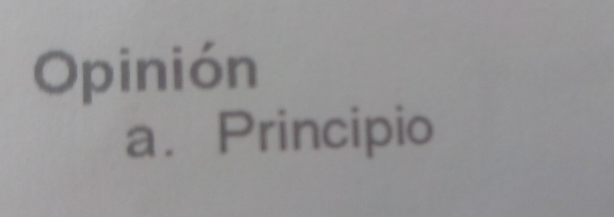 Opinión 
a.Principio