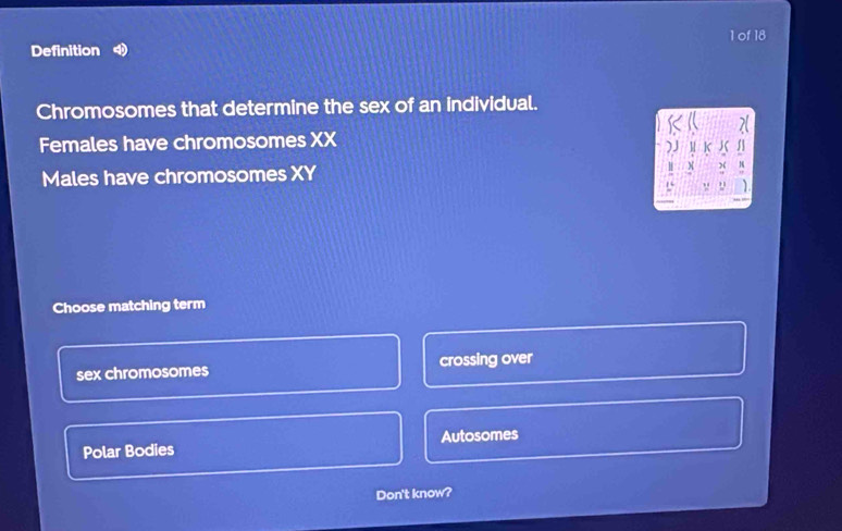 of 18
Definition
Chromosomes that determine the sex of an individual.
Females have chromosomes XX
Males have chromosomes XY
Choose matching term
sex chromosomes crossing over
Polar Bodies Autosomes
Don't know?