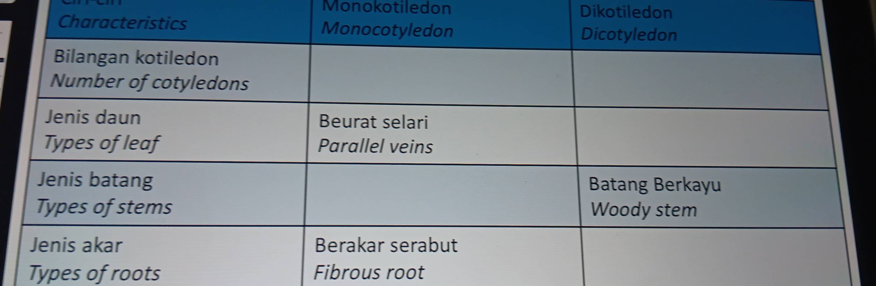 Monokotiledon Dikotiledon 
Types of roots Fibrous root