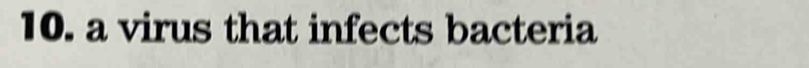 a virus that infects bacteria