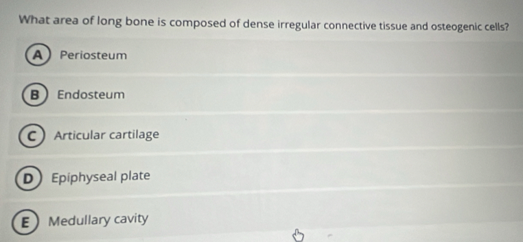 What area of long bone is composed of dense irregular connective tissue and osteogenic cells?
A Periosteum
B Endosteum
CArticular cartilage
D Epiphyseal plate
EMedullary cavity