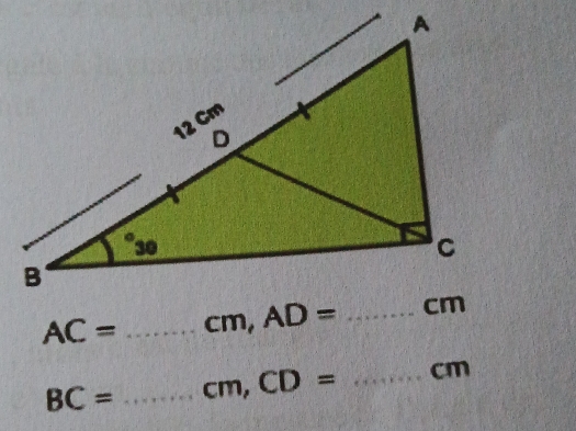 AC= _ m,
BC= _ cm,CD= _cm