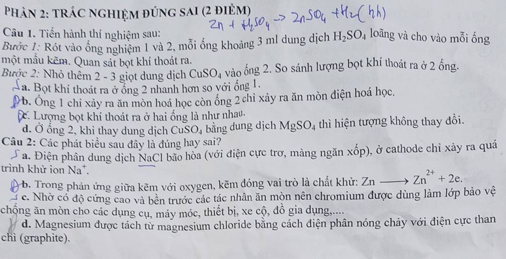 Phản 2: trắc nghiệm đúng sai (2 điẻm)
Câu 1. Tiến hành thí nghiệm sau:
Bước 1: Rót vào ống nghiệm 1 và 2, mỗi ống khoảng 3 ml dung dịch H_2SO_4 loãng và cho vào mỗi ống
một mầu kẽm. Quan sát bọt khí thoát ra.
Bước 2: Nhỏ thêm 2 - 3 giọt dung dịch CuSO_4 vào ống 2. So sánh lượng bọt khí thoát ra ở 2 ống.
Ta. Bọt khí thoát ra ở ổng 2 nhanh hơn so yới ống 1.
b. Ông 1 chỉ xảy ra ăn mòn hoá học còn ống 2 chỉ xây ra ăn mòn điện hoá học.
. Lượng bọt khí thoát ra ở hai ống là như nhau.
d. Ở ống 2, khi thay dung dịch CuSO₄ bằng dung dịch MgSO_4 thì hiện tượng không thay đổi.
Câu 2: Các phát biểu sau đây là đúng hay sai?
Ta. Điện phân dung dịch NaCl bão hòa (với điện cực trơ, màng ngăn xwidehat O p), ở cathode chỉ xảy ra quá
trình khử ion Na^+ Znto Zn^(2+)+2e. 
B. Trong phản ứng giữa kẽm với oxygen, kẽm đóng vai trò là chất khử:
* c. Nhờ cổ độ cứng cao và bền trước các tác nhân ăn mòn nên chromium được dùng làm lớp bảo vệ
chống ăn mòn cho các dụng cụ, máy móc, thiết bị, xe cộ, đồ gia dụng,....
d. Magnesium được tách từ magnesium chloride bằng cách điện phân nóng chảy với điện cực than
chì (graphite).