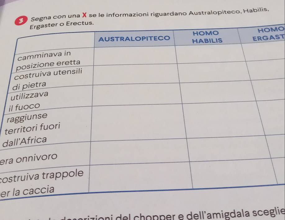 na con una X se le informazioni riguardano Australopiteco, Habilis, 
O 
ST 
i 
r 
te 
da 
era 
cos 
er 
rizioni del chopper e dell'amigdala sceglie