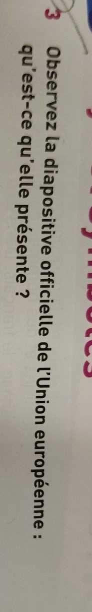Observez la diapositive officielle de l'Union européenne : 
qu'est-ce qu'elle présente ?