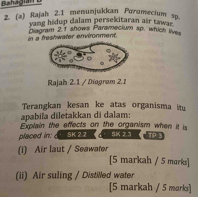 Bahagián B 
2. (a) Rajah 2.1 menunjukkan Paramecium sp. 
yang hidup dalam persekitaran air tawar. 
Diagram 2.1 shows Paramecium sp. which lives 
in a freshwater environment. 
Rajah 2.1 / Diagram 2.1 
Terangkan kesan ke atas organisma itu 
apabila diletakkan di dalam: 
Explain the effects on the organism when it is 
placed in: SK 2.2 SK 2.3 TP 3 
(i) Air laut / Seawater 
[5 markah / 5 marks] 
(ii) Air suling / Distilled water 
[5 markah / 5 marks]