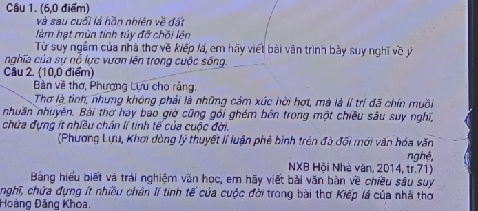 (6,0 điểm) 
và sau cuối lá hồn nhiên về đất 
làm hạt mùn tinh túy đỡ chồi lên 
Từ suy ngẫm của nhà thơ về kiếp lá, em hãy viết bài văn trình bày suy nghĩ về ý 
nghĩa của sự nỗ lực vươn lên trong cuộc sống. 
Câu 2. (10,0 điểm) 
Bàn về thơ, Phương Lựu cho rãng: 
Thơ là tình, nhưng không phải là những cảm xúc hời hợt, mà là lí trí đã chín muồi 
nhuần nhuyễn. Bài thơ hay bao giờ cũng gói ghém bên trong một chiều sâu suy nghĩ, 
chứa đựng ít nhiều chân lí tinh tế của cuộc đời. 
(Phương Lựu, Khơi dòng lý thuyết lí luận phê bình trên đà đối mới văn hóa văn 
nghệ, 
NXB Hội Nhà văn, 2014, tr. 71) 
Bằng hiểu biết và trải nghiệm văn học, em hãy viết bài văn bàn về chiều sâu suy 
nghĩ, chứa đựng ít nhiều chân lí tinh tế của cuộc đời trong bài thơ Kiếp lá của nhà thơ 
Hoàng Đăng Khoa.