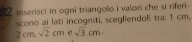 Inserisci in ogni triangolo i valori che si riferi- 
scono ai lati incogniti, scegliendoli tra: 1 cm,
2cm, sqrt(2)cm e sqrt(3)cm·