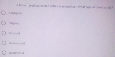 A brown. ayed cat is bred with a blue-eyed cat. What type of cross is this?
polyhybrid
dihybrid
trihybrid
monohybrid
quadhybrid