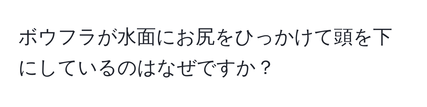 ボウフラが水面にお尻をひっかけて頭を下にしているのはなぜですか？