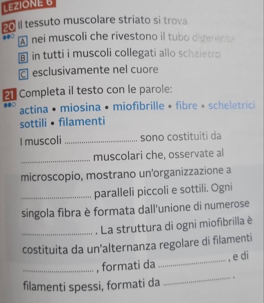 LEZIONE 6 
20 Il tessuto muscolare striato si trova 
●●0 
À nei muscoli che rivestono il tubo digerente 
in tutti i muscoli collegati allo scheletro 
c] esclusivamente nel cuore 
21 Completa il testo con le parole: 
actina • miosina • miofibrille • fibre • scheletrici 
sottili • filamenti 
I muscoli _sono costituiti da 
_muscolari che, osservate al 
microscopio, mostrano un’organizzazione a 
_paralleli piccoli e sottili. Ogni 
singola fibra è formata dall’unione di numerose 
_. La struttura di ogni miofibrilla è 
costituita da un’alternanza regolare di filamenti 
_, formati da _, e di 
filamenti spessi, formati da 
_ 
.