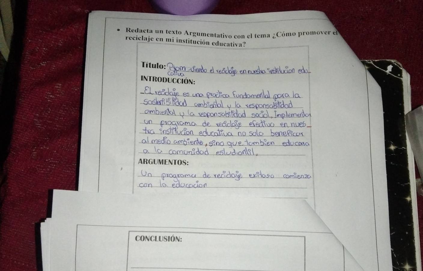 Redacta un texto Argumentativo con el tema ¿Cómo promover el 
reciclaje en mi institución educativa? 
_ 
Título: 
va 
introducción: 
_ 
_ 
_ 
_ 
_ 
_ 
_ 
_ 
ARGUMENTOS: 
_ 
_ 
CONClUSIÓN: 
_