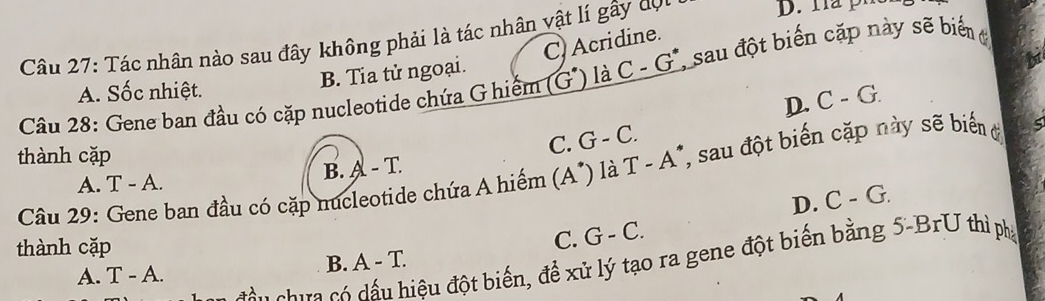 Tác nhân nào sau đây không phải là tác nhân vật lí gây dợc
D. Ha p í
C Acridine.
B. Tia tử ngoại.
Câu 28: Gene ban đầu có cặp nucleotide chứa G hiếm (G^(·)) là C-G^* *sau đột biến cặp này sẽ biển
A. Sốc nhiệt.
D. C-G. 
thành cặp
C. G-C.
B. A-T. 
Câu 29: Gene ban đầu có cặp nucleotide chứa A hiếm (A^*) là T-A^* ' sau đột biến cặp này sẽ biển đ
A. T-A
D. C-G.
thành cặp
C. G-C. 
ch a dấu hiệu đột biến, đề xử lý tạo ra gene đột biến bằng 5-BrU thì phạ
B. A- 1
A. T-A