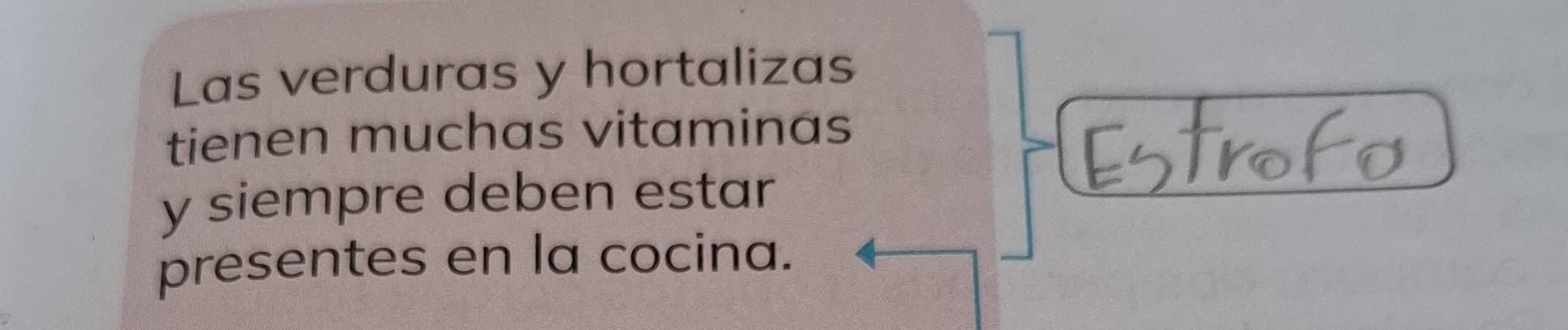 Las verduras y hortalizas 
tienen muchas vitaminas 
y siempre deben estar 
presentes en la cocina.