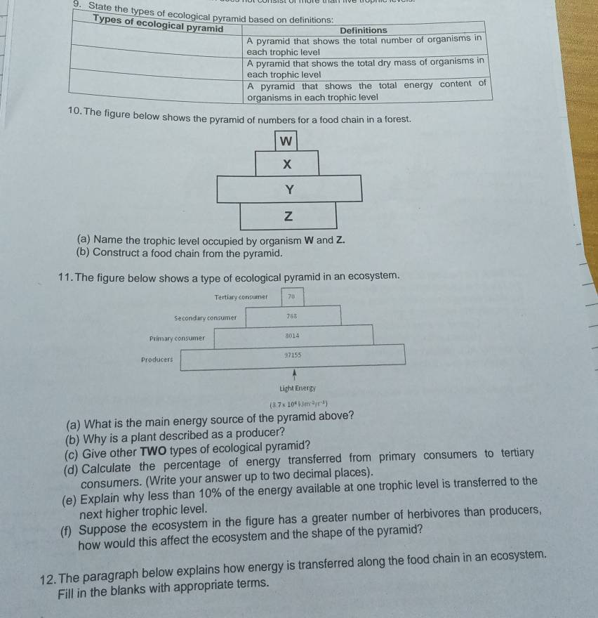 Sta 
. The figure below shows the pyramid of numbers for a food chain in a forest.
W
x
Y
Z
(a) Name the trophic level occupied by organism W and Z. 
(b) Construct a food chain from the pyramid. 
11. The figure below shows a type of ecological pyramid in an ecosystem.
(3.7* 10^4Nm^(-2)yr^(-2))
(a) What is the main energy source of the pyramid above? 
(b) Why is a plant described as a producer? 
(c) Give other TWO types of ecological pyramid? 
(d) Calculate the percentage of energy transferred from primary consumers to tertiary 
consumers. (Write your answer up to two decimal places). 
(e) Explain why less than 10% of the energy available at one trophic level is transferred to the 
next higher trophic level. 
(f) Suppose the ecosystem in the figure has a greater number of herbivores than producers, 
how would this affect the ecosystem and the shape of the pyramid? 
12. The paragraph below explains how energy is transferred along the food chain in an ecosystem. 
Fill in the blanks with appropriate terms.