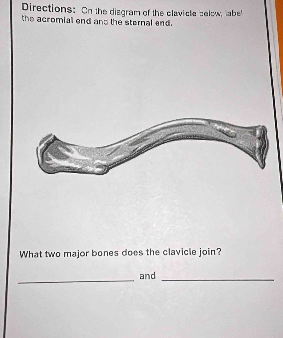 Directions: On the diagram of the clavicle below, label 
the acromial end and the sternal end. 
What two major bones does the clavicle join? 
_ 
and_