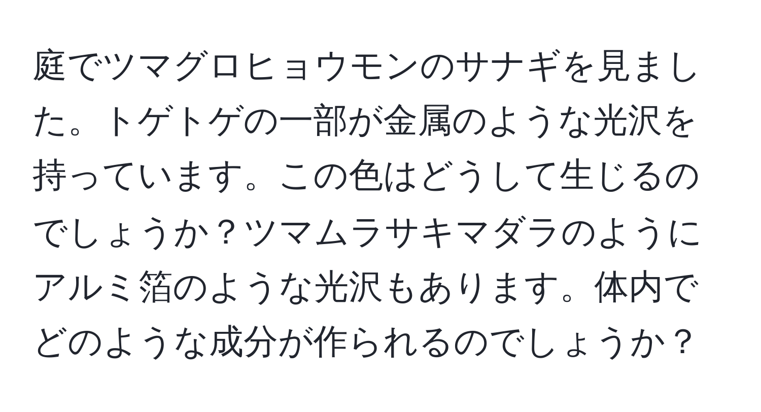 庭でツマグロヒョウモンのサナギを見ました。トゲトゲの一部が金属のような光沢を持っています。この色はどうして生じるのでしょうか？ツマムラサキマダラのようにアルミ箔のような光沢もあります。体内でどのような成分が作られるのでしょうか？